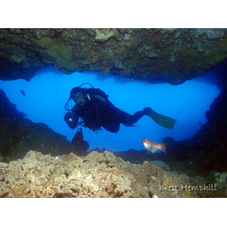 Double Dive New Cave And Scallop Drift : Jack